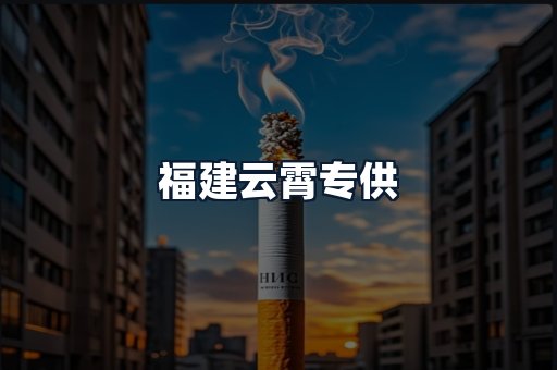 福建云霄专供